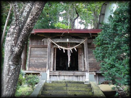 ������V��