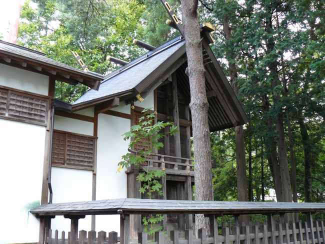 �O�ˑ�_�{�E�{�a