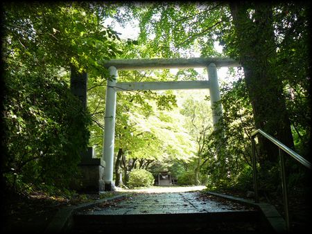 �f���_�ЎQ���Βi���猩���傫�Ȓ���