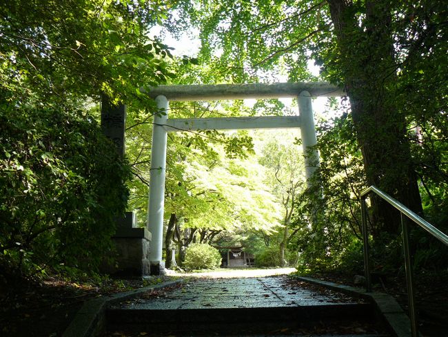 �f���_�ЁE����