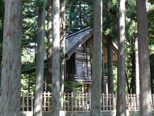 �f���_�ЁE�{�a