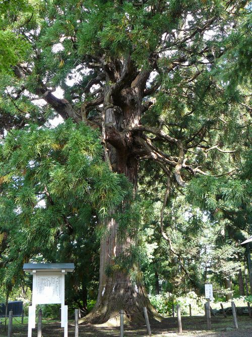 �f���_�ЁE�吙