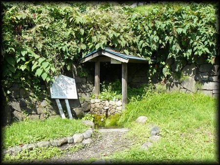 �֍��̐���