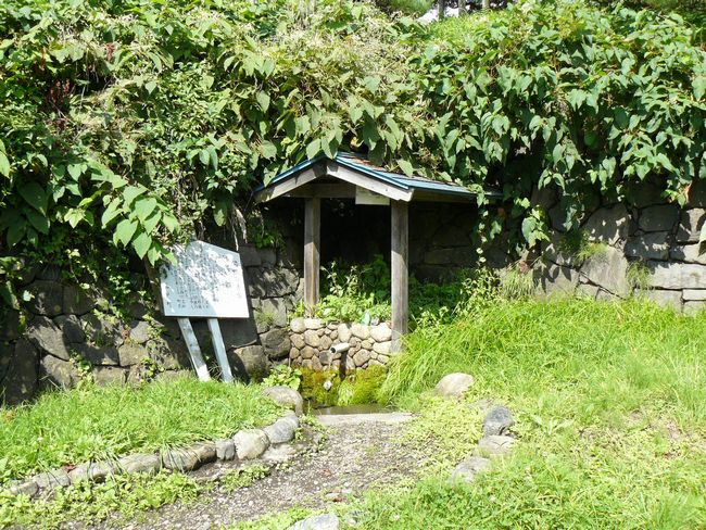 �֍��̐���