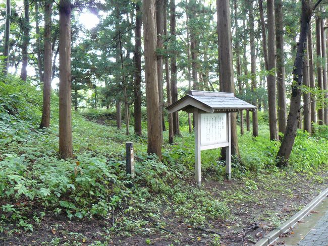 ���҂��܂�