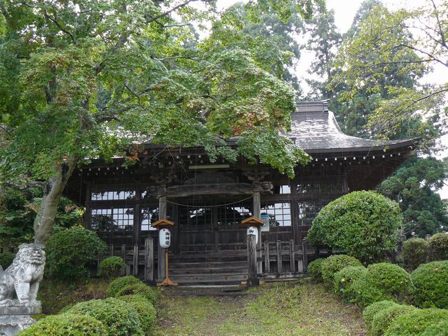 �����{�E�q�a