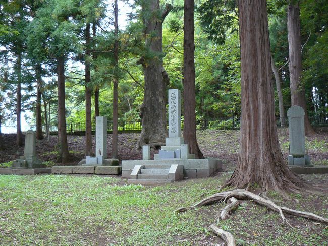 �암�ƌ�쉮�E���