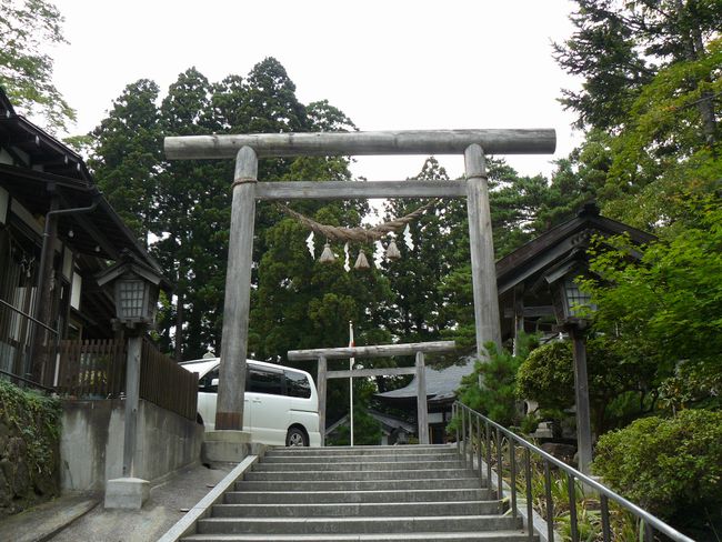 �_���{�E����