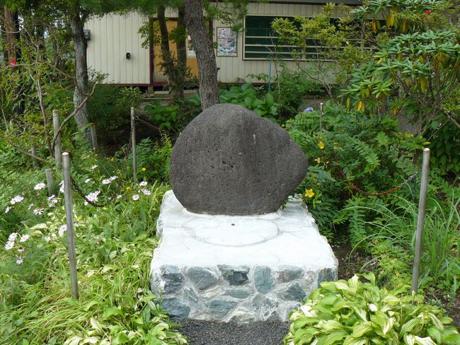 �V���_��