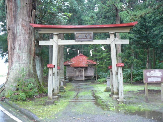 �R����t��