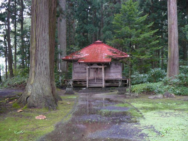 �R����t��