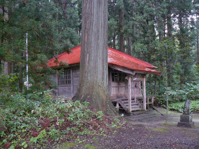 �R����t��