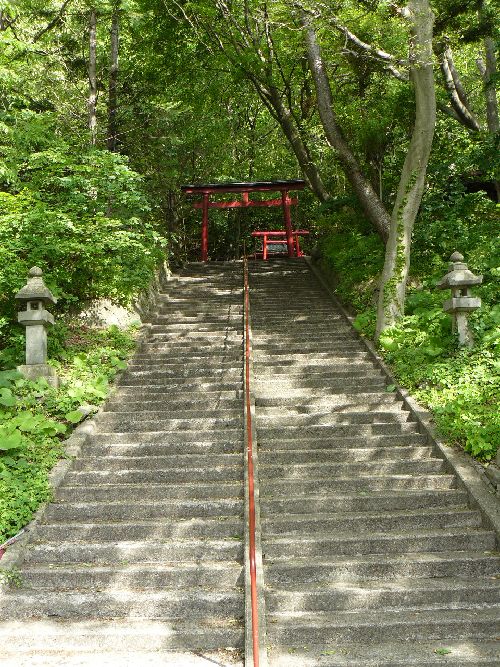 �X�s�E�M�D�_��