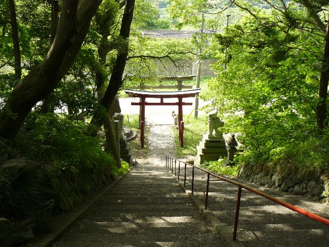 �X�s�E�M�D�_��