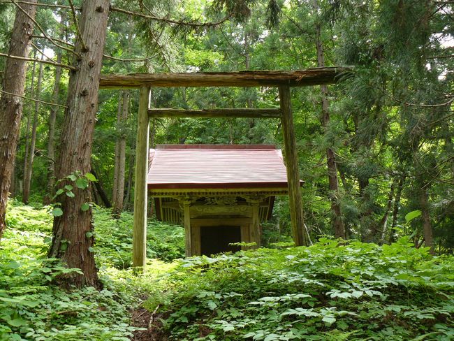 �X�s�E�����R�_��