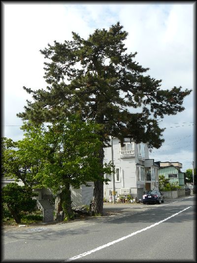 ����ԏ���