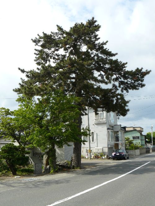 �X�s�E����ԏ���