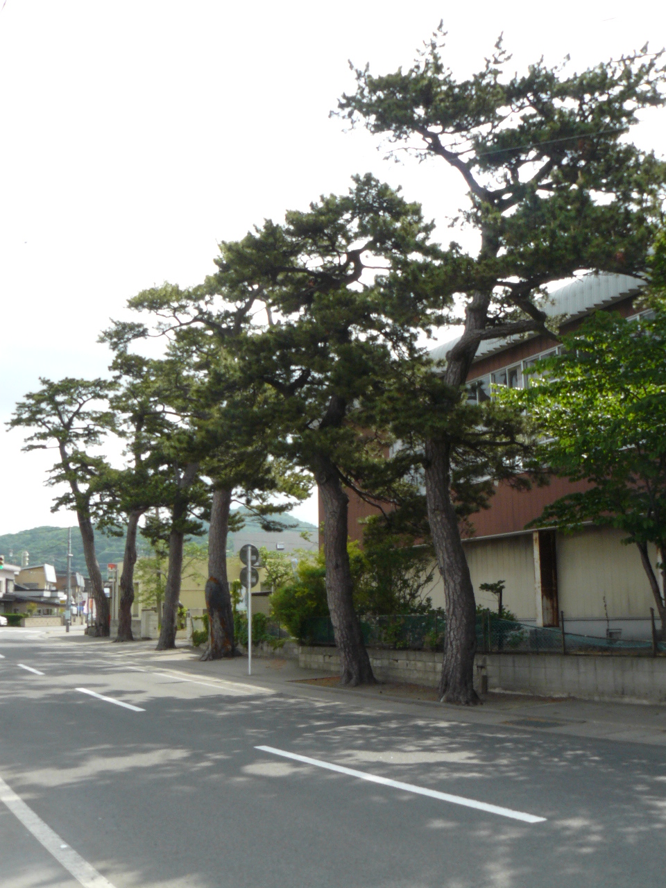 �X�s�E���B�X���E����h�E�X���̏�