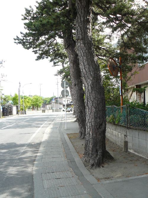 �X�s�E���B�X���E����h�E�X���̏�