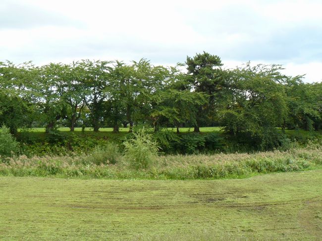 �X�s�E�Q����