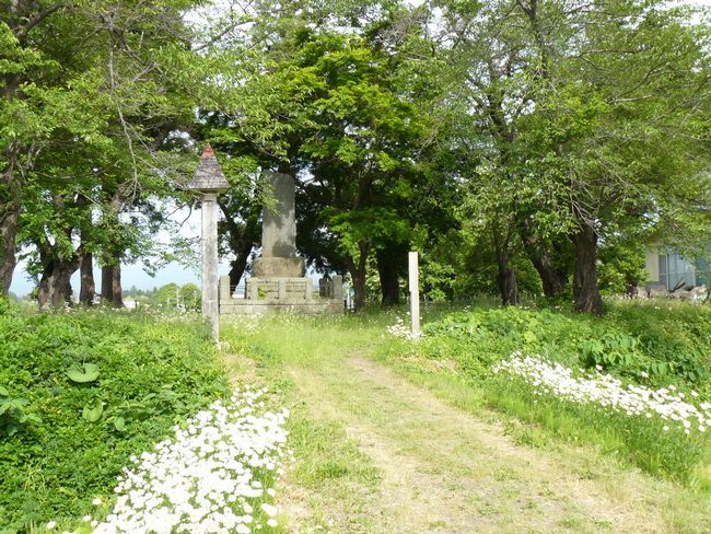 �X�s�E���c��