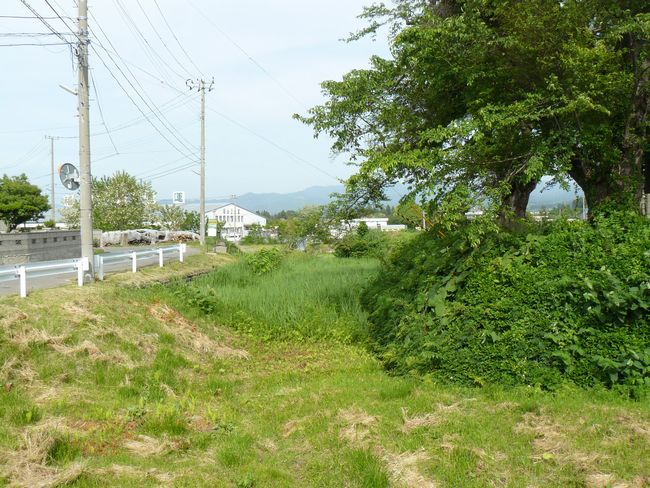 �X�s�E���c��