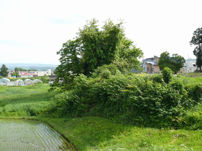 �X�s�E���c��