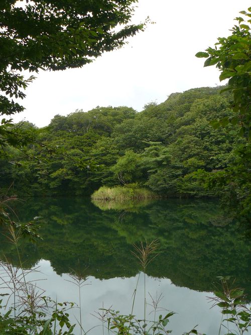 �\��΁E��c�ڂ̒r