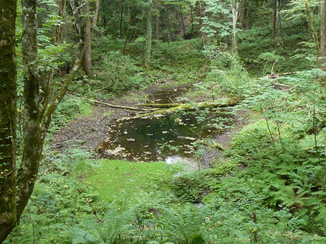 �\��΁E���ܒr