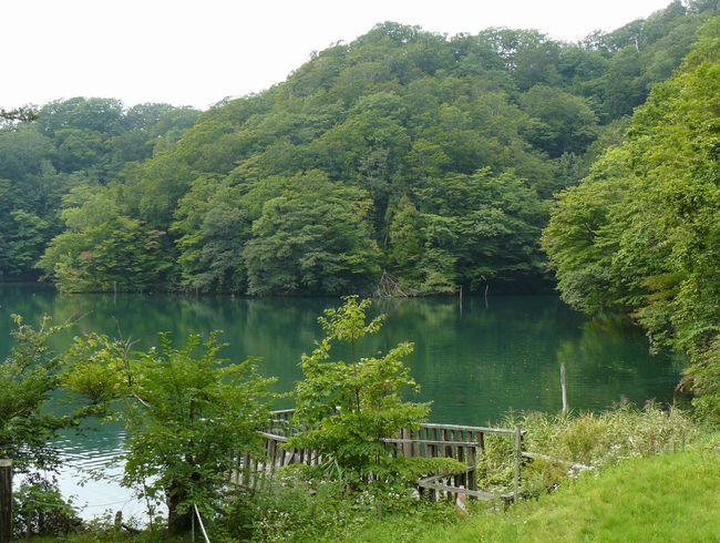 �\��΁E�z���̒r