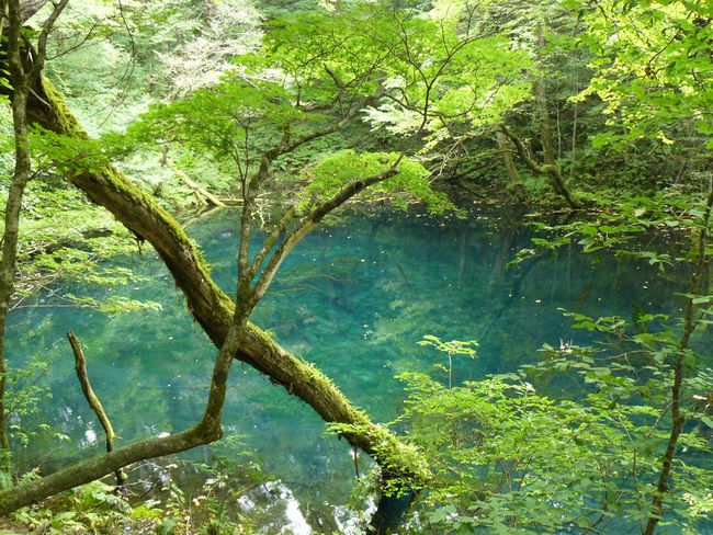 �\��΁E����̒r