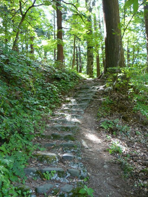 �����R�ω���