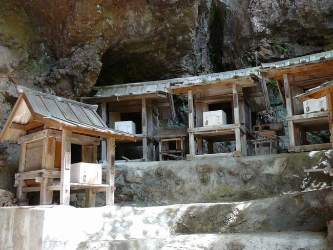 �����R�ω���