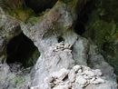 見入山観音堂境内の小洞窟に積まれた積石（ケルン）