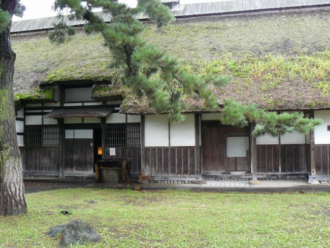 �܏��쌴�s�E�����R�ƏZ��