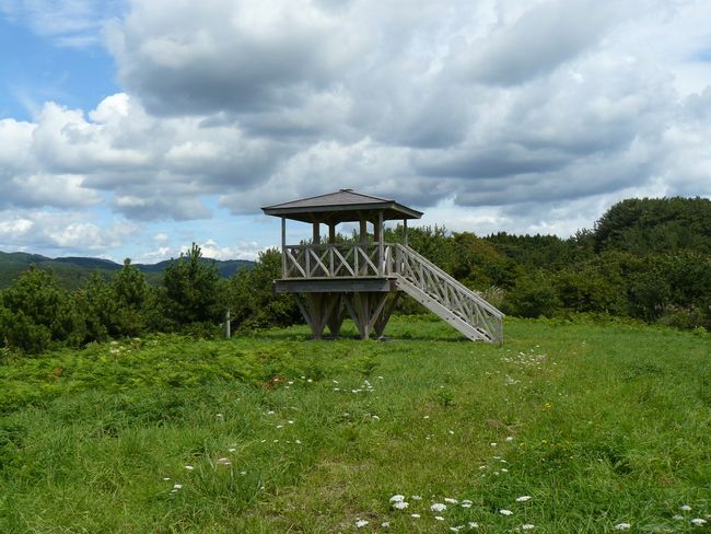 �\�O�΁E����