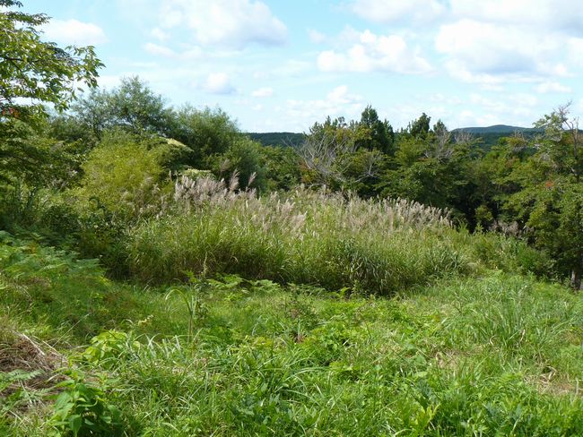 �\�O�΁E����