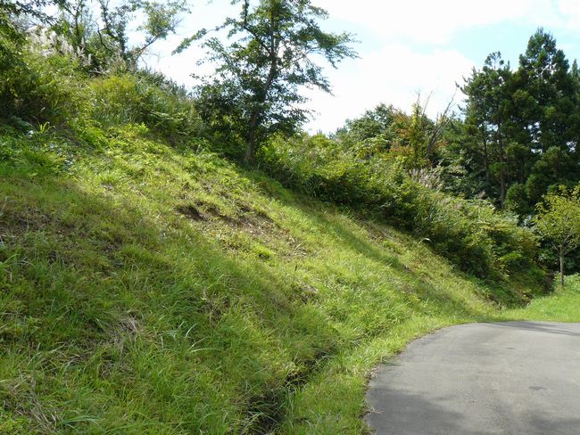 �\�O�΁E����