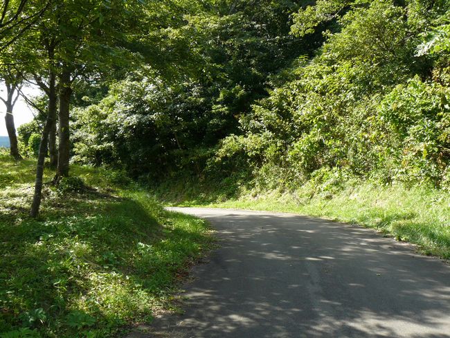 �\�O�΁E�����