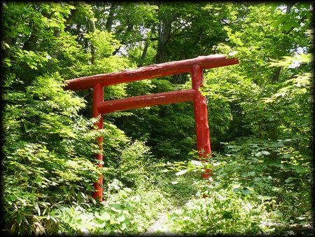 ���q�_��