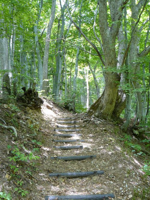 �܏��쌴�s�E���q�_��