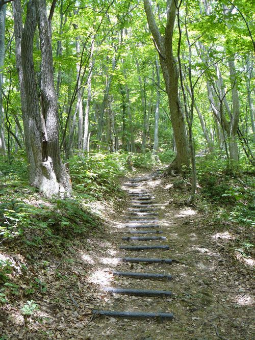 �܏��쌴�s�E���q�_��