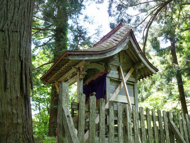 �܏��쌴�s�E���q�_��