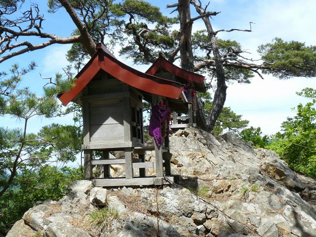 �܏��쌴�s�E���q�_��