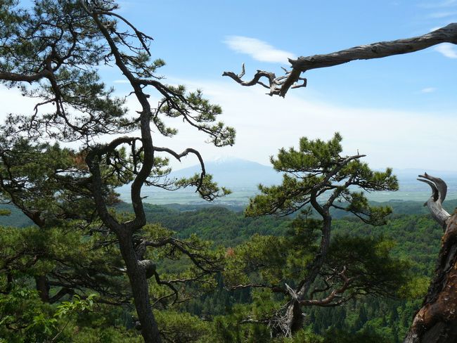 �܏��쌴�s�E���q�_��