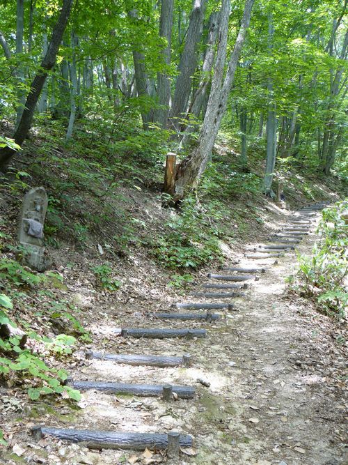 �܏��쌴�s�E���q�_��