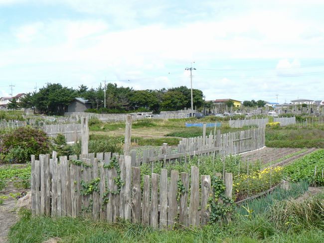 �\�O�΁E�\�O�����