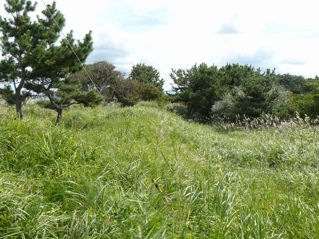 �\�O�΁E�\�O�����