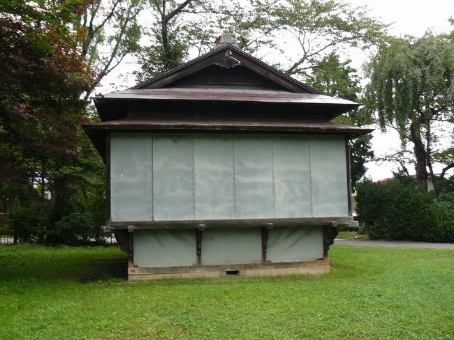 �O����_��