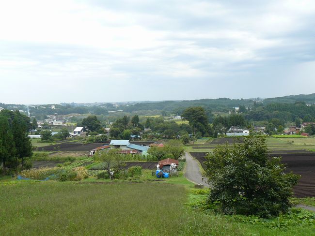 �����_��